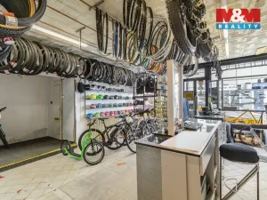 Prodej činžovního domu, Frýdek-Místek - Frýdek, Radniční, 300 m2