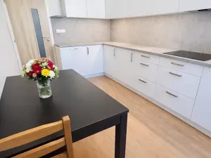 Pronájem bytu 2+1, Brno, Srbská, 53 m2