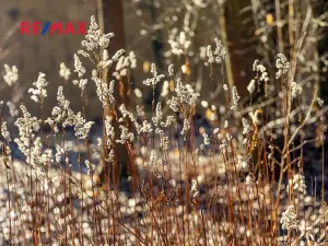 Prodej rodinného domu, Skalice u České Lípy, 122 m2