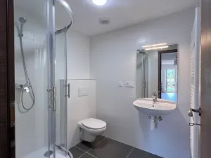 Pronájem bytu 1+kk, Tišnov, Kukýrna, 30 m2