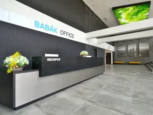 Pronájem kanceláře, Brno, Jana Babáka, 227 m2