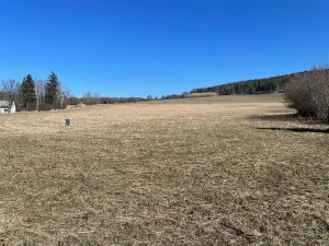 Prodej pozemku pro bydlení, Dolany, 1077 m2