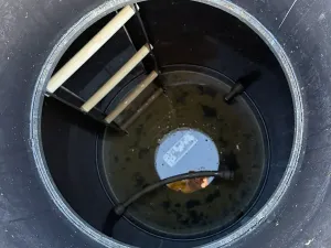 Prodej pozemku pro bydlení, Dolany, 1077 m2