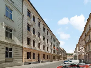 Pronájem obchodního prostoru, Brno - Staré Brno, Zahradnická, 32 m2