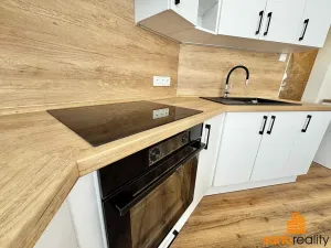 Pronájem bytu 3+1, Litoměřice, Palachova, 96 m2