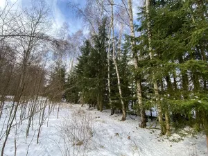 Prodej pozemku, Volfířov - Brandlín, 5958 m2