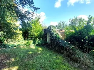 Prodej pozemku, Rybníky, 6544 m2