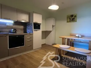 Prodej ubytování, Zdíkov - Nový Dvůr, 750 m2