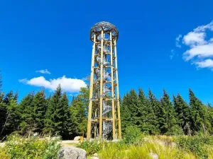 Prodej pozemku, Desná - Desná I, Údolní, 1668 m2