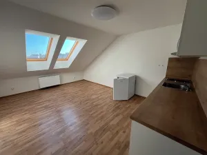 Pronájem bytu 1+kk, Brno, Vlhká, 31 m2