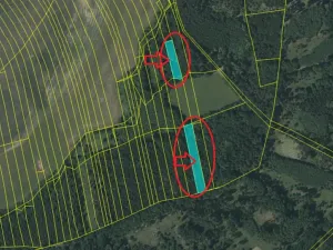 Prodej lesa, Olešník, 5100 m2