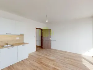 Pronájem bytu 1+kk, Olomouc, Camilla Sitteho, 35 m2