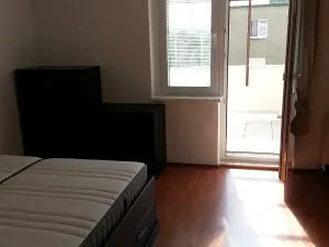 Pronájem bytu 1+kk, Praha - Vinohrady, Nad olšinami, 48 m2