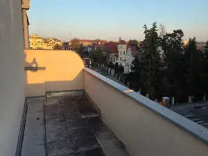 Pronájem bytu 1+kk, Praha - Vinohrady, Nad olšinami, 48 m2