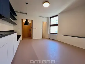 Pronájem bytu 1+kk, Brno, Peroutková, 25 m2