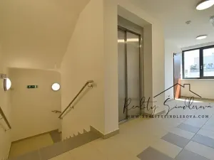 Pronájem bytu 1+kk, Olomouc, Eduarda Hamburgera, 27 m2