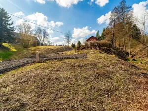 Prodej pozemku pro bydlení, Svojek, 703 m2