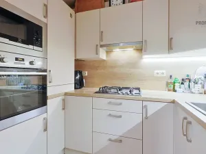 Prodej bytu 2+kk, Brno, Ruská, 60 m2