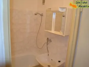 Pronájem bytu 1+1, Ostrava, Mjr. Nováka, 36 m2