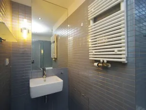 Pronájem bytu 2+kk, Praha - Žižkov, Prokopova, 58 m2