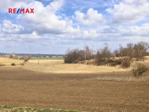 Prodej pole, Číčovice, 6121 m2