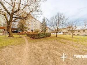 Prodej bytu 3+1, Olomouc, Foerstrova, 66 m2