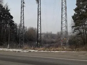 Prodej lesa, Řípec, 27546 m2