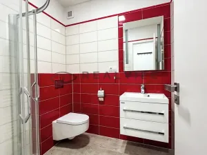 Pronájem bytu 1+kk, České Budějovice, Kněžská, 27 m2