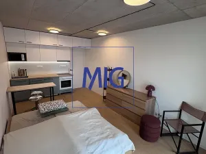 Pronájem bytu 1+kk, Brno, Bratislavská, 31 m2