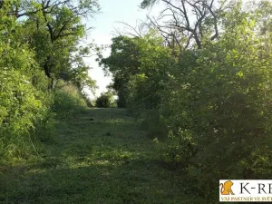 Prodej zahrady, Brno - Židenice, 1227 m2