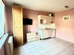 Pronájem bytu 1+kk, Karlovy Vary, Lidická, 22 m2