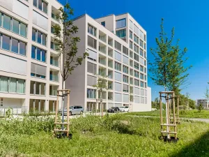 Pronájem bytu 2+kk, Praha - Karlín, Breitfeldova, 60 m2