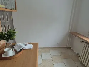 Prodej bytu 1+1, Turnov, Přepeřská, 35 m2