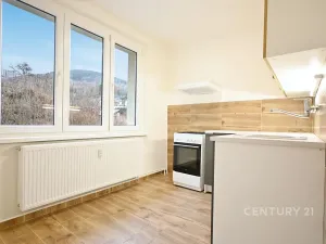 Pronájem bytu 2+1, Jáchymov, Na Slovanech, 60 m2