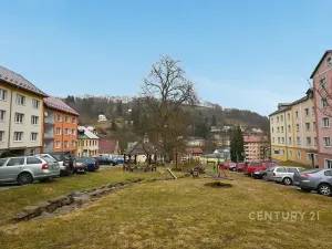 Pronájem bytu 2+1, Jáchymov, Na Slovanech, 60 m2