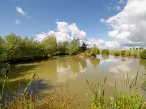 Prodej komerční, Broumov - Velká Ves, Kladská