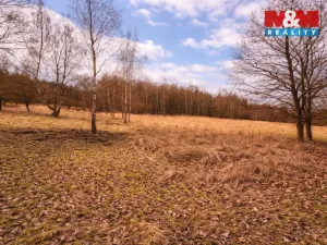 Prodej komerčního pozemku, Křečovice - Vlkonice, 68525 m2