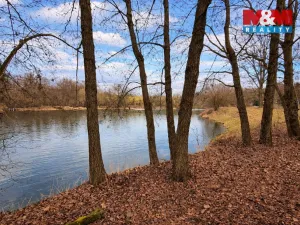Prodej rybníku, Křečovice - Vlkonice, 68525 m2