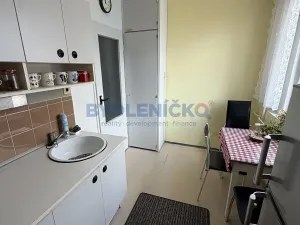 Prodej bytu 1+1, České Budějovice, Prachatická, 31 m2