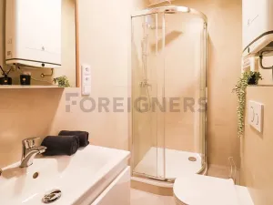 Pronájem bytu 1+kk, Brno, Cyrilská, 23 m2