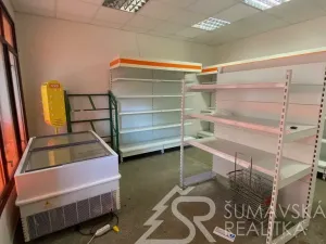 Prodej obchodního prostoru, Zborovy, 233 m2