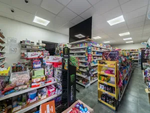 Prodej rodinného domu, Čelákovice, Jiráskova, 530 m2