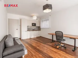 Pronájem bytu 1+kk, Praha - Chodov, Šternovská, 30 m2