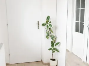 Prodej rodinného domu, Hnojice, 150 m2