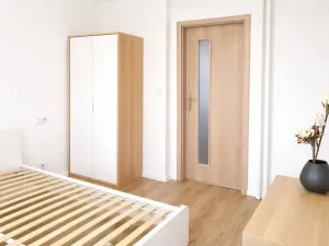 Pronájem bytu 2+kk, Praha - Žižkov, Pod lipami, 54 m2