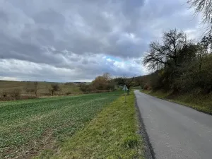 Prodej pole, Děkov, 9305 m2