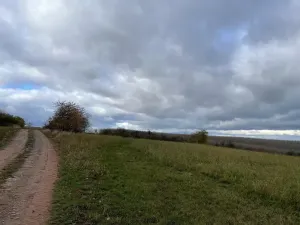 Prodej pole, Děkov, 11683 m2