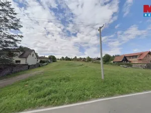 Prodej pozemku pro bydlení, Černovice, 2821 m2