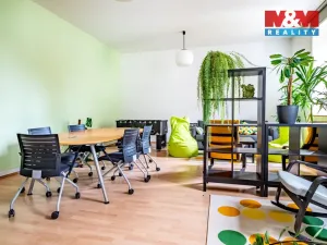 Prodej obchodního prostoru, České Budějovice - České Budějovice 1, Hradební, 615 m2