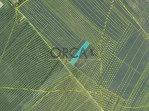 Prodej pole, Moravská Nová Ves, 13376 m2